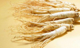 人参怎么种植方法 人参的种植方法简述