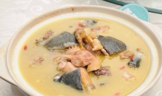 王八怎么做才补 王八大补汤的做法