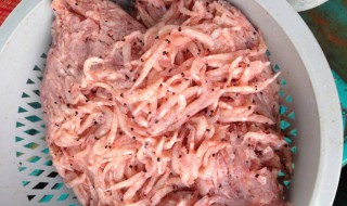 沙蚕怎么样保存的时间长 如何保存沙蚕