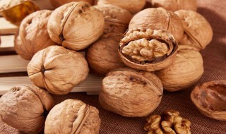 剥好的核桃仁怎么保存 剥好的核桃仁保存方法