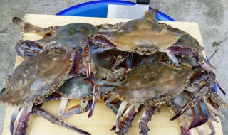 刚买的螃蟹怎么保存 刚买的螃蟹保存方法