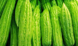 苦瓜怎么保存 苦瓜的保存方法