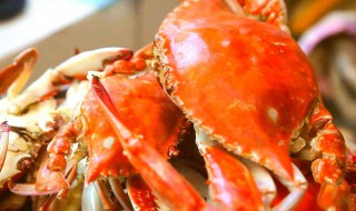 冰螃蟹怎么保存多久 螃蟹的保存方法
