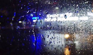 秋雨的作文 秋雨的作文示例