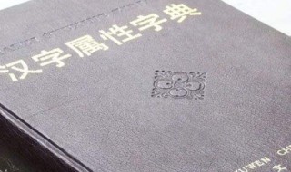 堤的拼音和组词 堤的拼音是什么