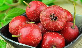 回奶食物大全 回奶食物有哪些