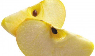 苹果精油制作方法 提炼精油的方法