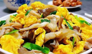 平菇炒什么好吃又简单的做法 平菇炒蛋的做法