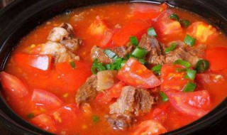 西红柿牛腩汤怎么做好吃又简单 做牛腩汤的方法