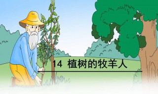 植树的牧羊人讲了什么 植树的牧羊人简介