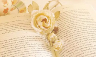 很高兴认识你用英语怎么说 很高兴认识你翻译