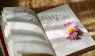 青春文艺寄语简短 青春寄语短句文艺