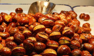 板栗怎么做 板栗做法是什么