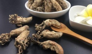 金蝉花的正确食用方法 金蝉花如何食用