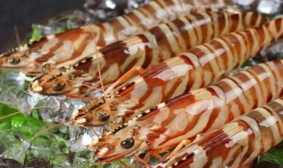 九节虾怎么做最好吃 九节虾的做法