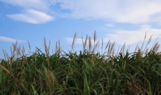 秋天的经典句子 秋天唯美句子