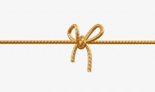 蝴蝶结怎么做 蝴蝶结的做法