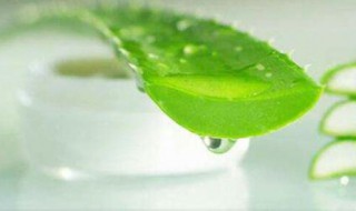 芦荟胶的正确用法步骤 芦荟胶的正确用法步骤是怎样的