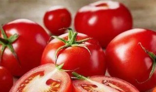 西红柿含糖高吗 西红柿糖分高