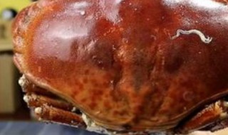 面包蟹怎么做好吃 做面包蟹的方法