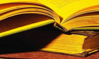 关于秋天的诗句大全 秋天的诗句有哪些