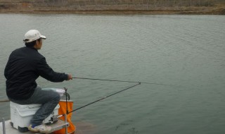 钓鱼钓到王八预示什么 有什么好的说法呢