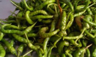 腌青辣椒最好吃的做法 腌青辣椒的做法