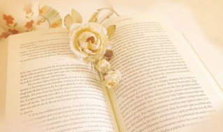 运动会激励语 激励运动会语的话