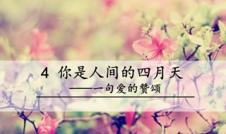 你是人间的四月天全诗 你是人间的四月天原文