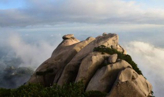 登飞来峰这首诗的意思 登飞来峰古诗的鉴赏