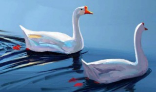 鹅鹅鹅古诗的意思 鹅鹅鹅作者介绍