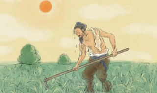 锄禾日当午全诗的意思 关于锄禾日当午古诗的鉴赏