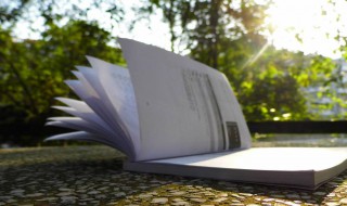 秋天落叶的短句 描写秋天落叶的句子