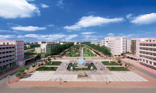 本一和本二有什么区别 本一和本二有什么不同