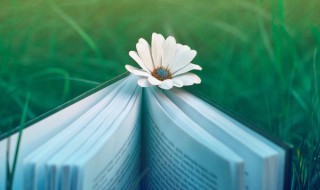 竹坞无尘水槛清全诗是什么 竹坞无尘水槛清全诗写什么