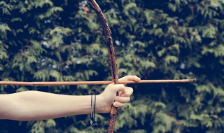 在荒野如何做弓箭 教你一招野外生存神技能