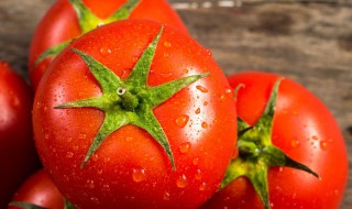 西红柿的英语怎么读 复数形式是什么
