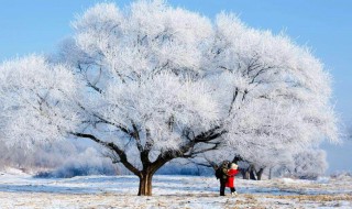 对雪的喜爱唯美句子 喜欢雪的说说