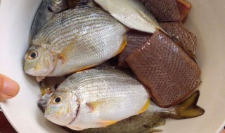 海鱼干怎么做好吃法 海鱼干做好吃法的方法