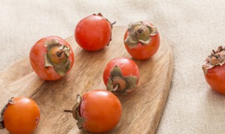 小柿子的功效与作用 中药材小柿子用处真不少