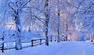 带雪的唯美短句 关于雪的经典唯美句子