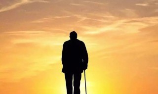 老有所依完整的句子 老有所依出处