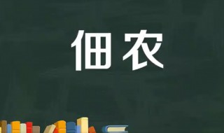 佃农的意思 佃农有自己的地吗