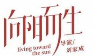 向阳而生电视剧哪里能看 向阳而生电视剧在哪里可以看