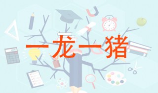 成语一龙一猪用来比喻什么 出自何处