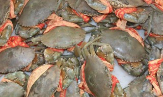 养殖青蟹方法 青蟹如何养殖