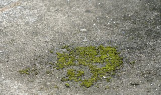 地面潮湿有臭味怎么处理 多雨天气如何保养地板