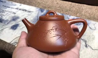 茶壶保养的方法 茶壶保养的方法介绍