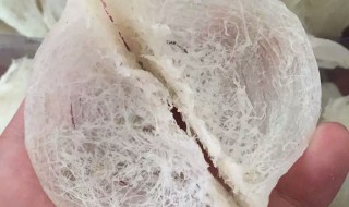 做燕窝丝窍门 燕窝丝怎么做呢