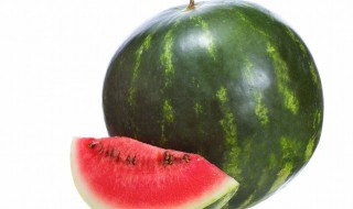 种植西瓜小技巧 怎么种植西瓜